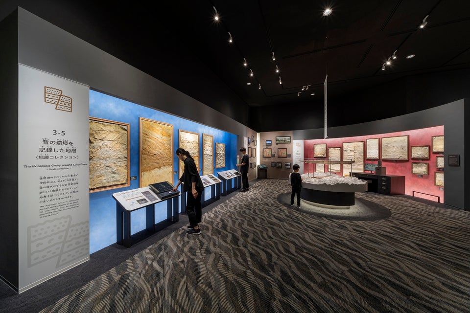 ファーストビューの画像